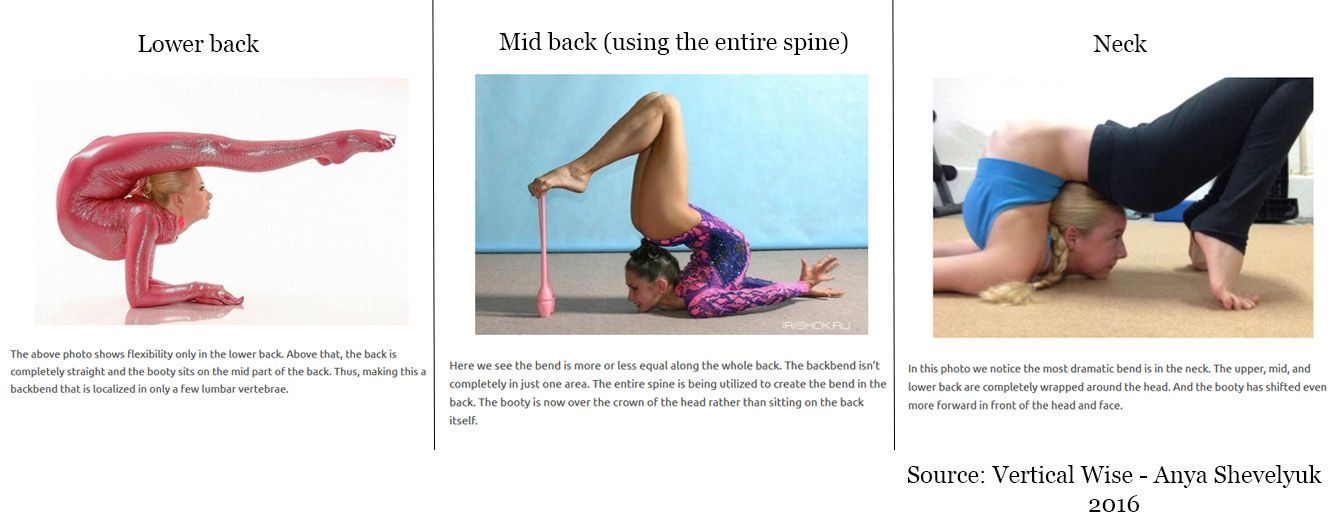 BACKBEND COUNTERPOSES BY ELENA MISS YOGA - Yoga Lovers World - Quora